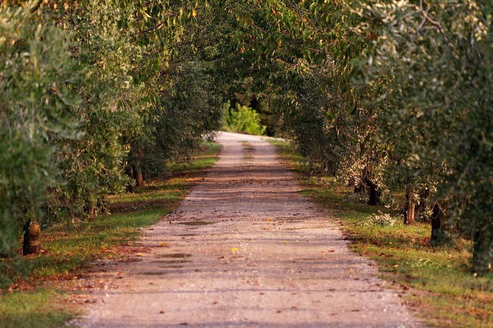 Agriturismo Casagrande Montepulciano Stazione Exteriér fotografie